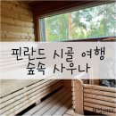 하란 | [핀란드🇫🇮] #5 핀란드 시골 여행: 미켈리와 사하란티 가기