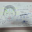 NS219 오피스텔 | 대전사주잘보는곳 성심당근처 사주 관상용한곳 효제개운연구소