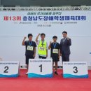 태안교육지원청, ‘제13회 충청남도장애학생체육대회’ 다수 메달 획득(태안타임즈) 이미지