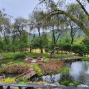 호텔정관루별관(게스트하우스) 이미지