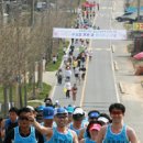 일삼구님, 노삼모 단체로 2010 오마이뉴스 강화바다사랑 마라톤 대회에 참석하면 안되요? 이미지
