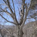 중미산모텔 이미지