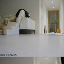 희동이네 이미지