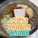 부산시청 | 밀면 맛집 소문난가야밀면 부산시청점 후기!