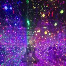 고산로126번길 | 남양주 아기랑 갈만한곳 실내 공룡박물관 + 포토존 가득한 미호박물관