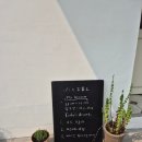 의림초등학교 | 도심속 작은 유럽같은 제천 감성,가성비 카페_my brown