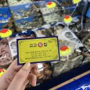 주노축산 | 강릉중앙시장회센터 맛집, 고고횟집 물회 모둠 회포장