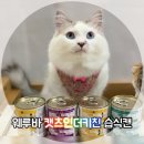 도그보니타 | 기호성 좋은 웨루바 고양이 습식캔, 캣츠인더키친 신상캔 솔직 후기!