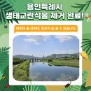 신갈천 상갈동 이미지