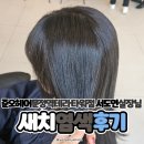 4482 | 문정역미용실 준오헤어 서도연 실장님 자극 없이 부드럽게 톤다운 새치염색 후기