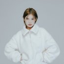 스타일 퍼피 이미지