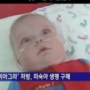 살리다 이미지