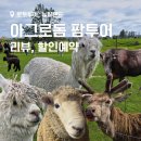 대신소부자2농장 | 뉴질랜드 로토루아 - 아그로돔 팜투어 후기(할인 예약, 양털 깎기 쇼와 농장 투어)