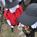 서인천농협 건지지점 앞 횡단보도 | 2025 인천 펜타포트 락 페스티벌 (08/01-08/03)