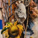 제16회 김해전국미술대전 이미지