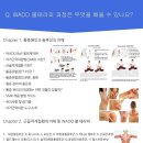 비엠에듀 | [피트니스 교육] 비엠에듀 볼 테라피 : 마사지 볼과 땅콩볼을 활용한 증상별 셀프 통증 관리 방법