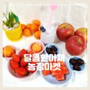 식송농장 | 대구 침산동 과일과게 달콤한아재농장마켓 과일 도시락