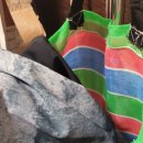 도디치 | 실내수영장수영복 도디치 5부 수영복 사용 후기