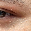 드림온누리약국 이미지