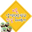 강경신안상회 | 티몬 강경신안상회 멍게, 더덕, 오징어, 낙지 젓갈 구매후기