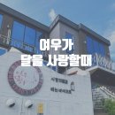 여우가 달을 사랑할떄 | 가평 풀빌라 여우가 달을 사랑할때 사랑의물결 객실 후기 내돈내산 가평숙소추천