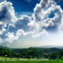 첼로 (행복한 첼로) 이미지