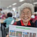 매일붐비나
