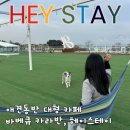 카페라소 | [부산 강아지 동반 카페,우리강아지랑 꼭 가야할 곳'헤이스테이']
