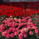 구이노인복지센터 이미지