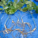 약수산장 이미지