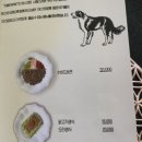 니나노 제주 이미지