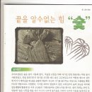숯의힘 이미지