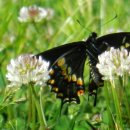 도봉-도봉-서울도봉-2094 이미지