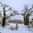 플라시도 도밍고, 그리운 금강산 / 감동의 한국공연 이미지