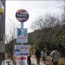 마스타카 이미지