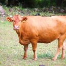 예정농장 이미지