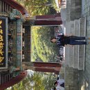 대구꽃축제 이미지