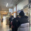 성원목욕탕 | 창원김밥맛집 아침일찍 문여는 토월성원 진아김밥 내돈내산 후기(주말 웨이팅)