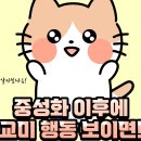 80. 고양이 정보(중성화 이후에 교미행동 보이면) 이미지