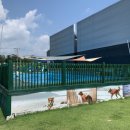 개라다이스 이미지