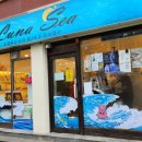 달콤허니속초벌집아이스크림 이미지