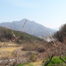 농은농장 이미지