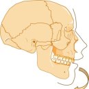 이성재치과의원 | 비발치 미세 돌출입 치아교정, 잇몸 노출 정도에 따른 치료 비교 후기