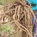 임실자연농원 이미지