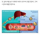 혈압 이야기(고지혈증, 혈압약 등) 이미지