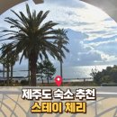 스테이체리 이미지