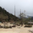 황룡산장 이미지