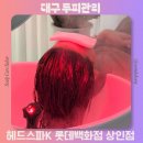 롯데백화점(관리실) | 대구 두피관리 잘하는 헤드스파K 롯데백화점 상인점 탈모관리 방문후기