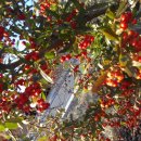 외고산옹기마을 이미지