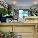 삐에드라 이미지